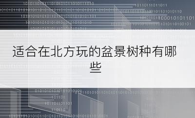 适合在北方玩的盆景树种有哪些