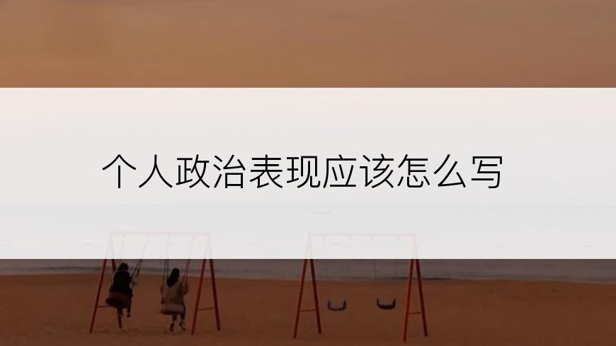 个人政治表现应该怎么写