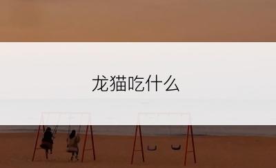 龙猫吃什么