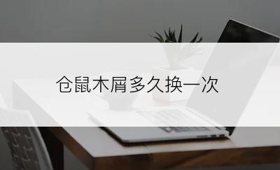 仓鼠木屑多久换一次