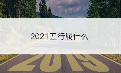 2021五行属什么