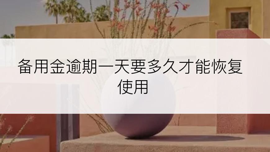 备用金逾期一天要多久才能恢复使用