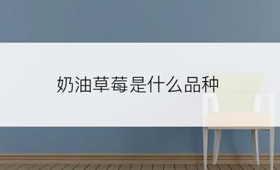 奶油草莓是什么品种