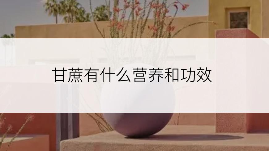 甘蔗有什么营养和功效