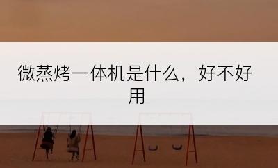 微蒸烤一体机是什么，好不好用