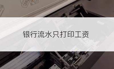 银行流水只打印工资