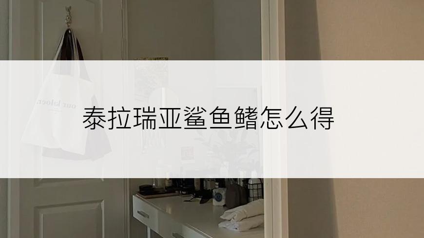泰拉瑞亚鲨鱼鳍怎么得