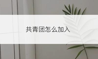 共青团怎么加入