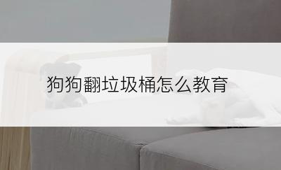 狗狗翻垃圾桶怎么教育