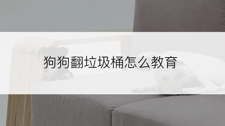 狗狗翻垃圾桶怎么教育