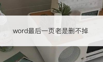word最后一页老是删不掉