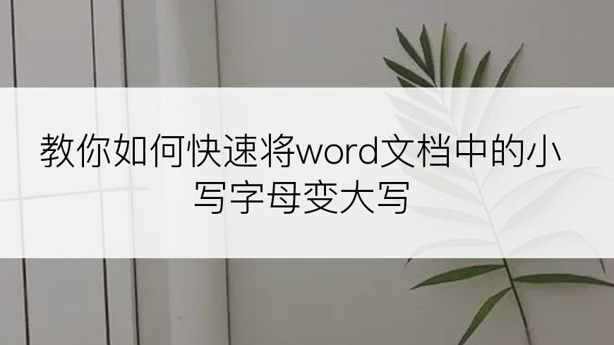 教你如何快速将word文档中的小写字母变大写