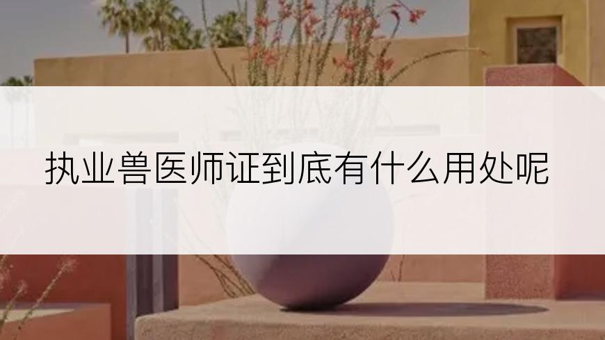 执业兽医师证到底有什么用处呢