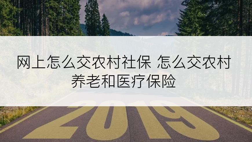网上怎么交农村社保 怎么交农村养老和医疗保险