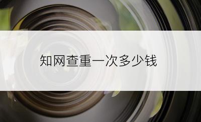 知网查重一次多少钱