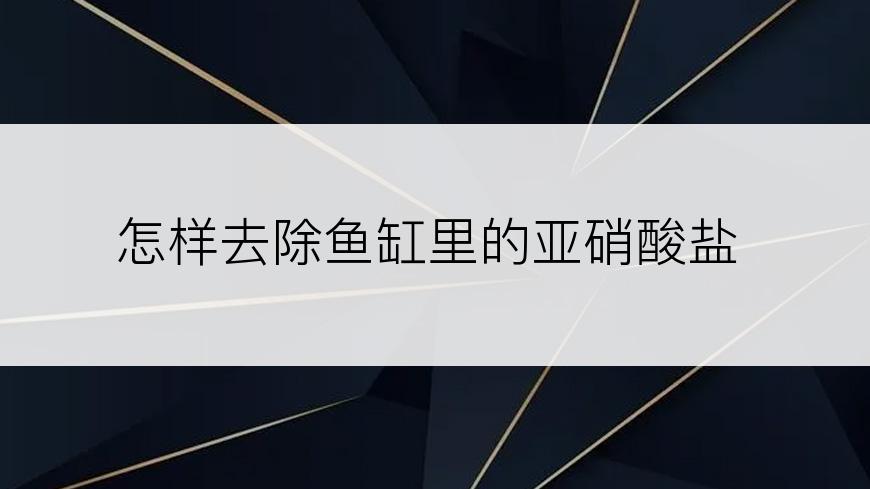 怎样去除鱼缸里的亚硝酸盐