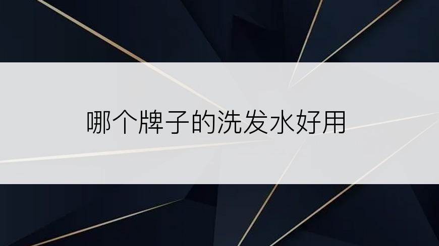 哪个牌子的洗发水好用