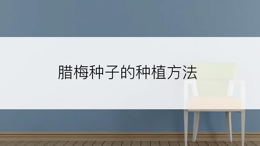 腊梅种子的种植方法
