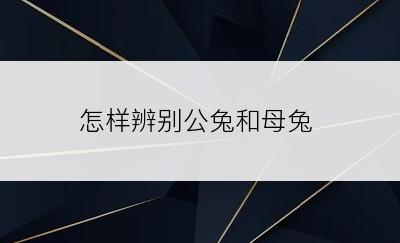 怎样辨别公兔和母兔