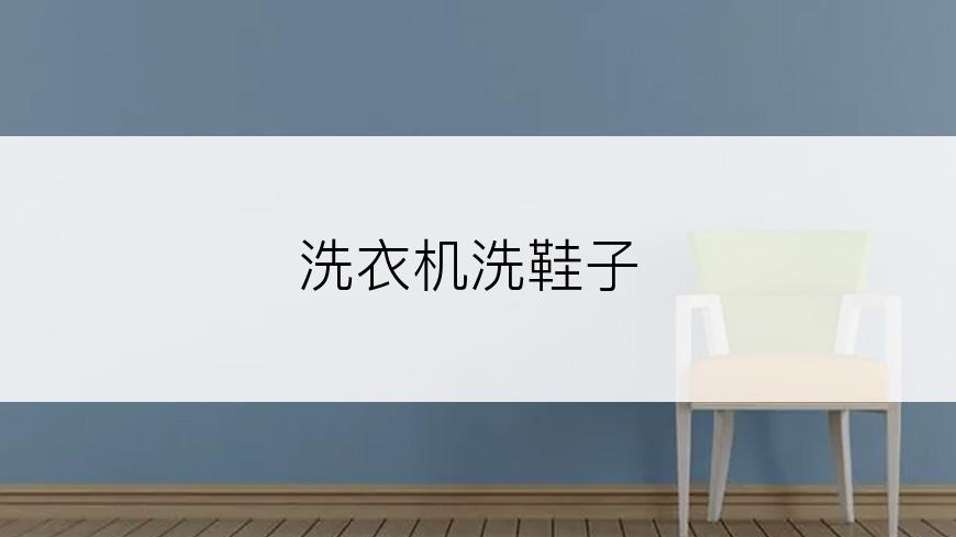 洗衣机洗鞋子