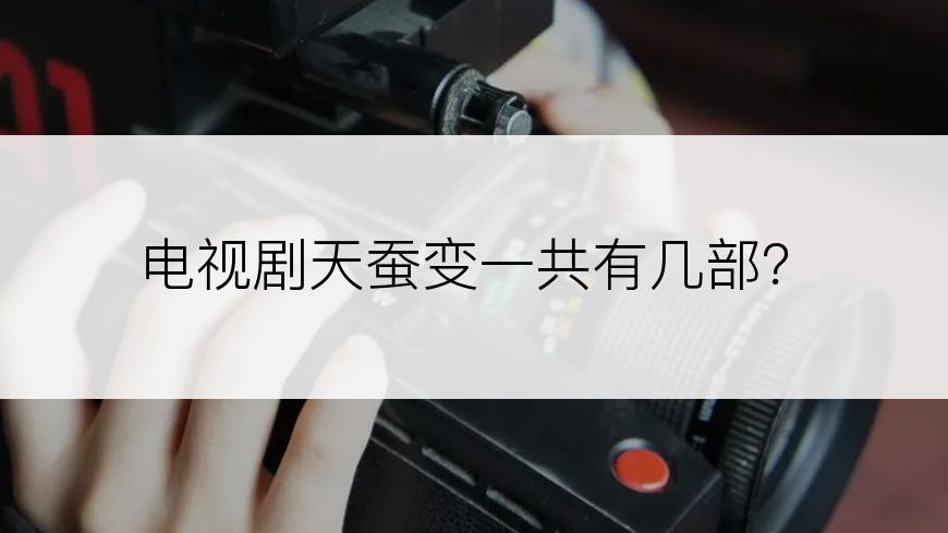 电视剧天蚕变一共有几部？