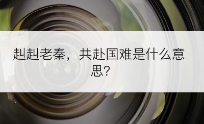 赳赳老秦，共赴国难是什么意思？