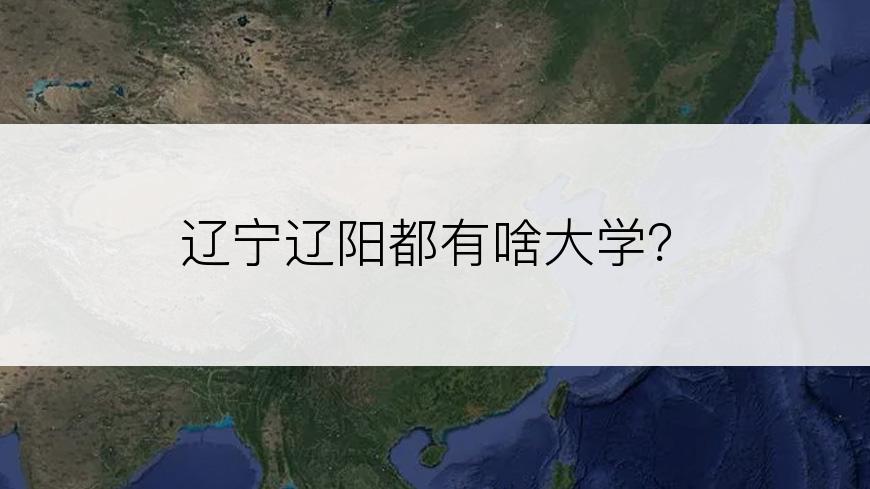 辽宁辽阳都有啥大学？