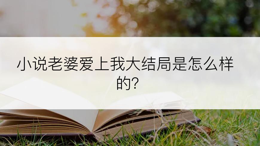 小说老婆爱上我大结局是怎么样的？