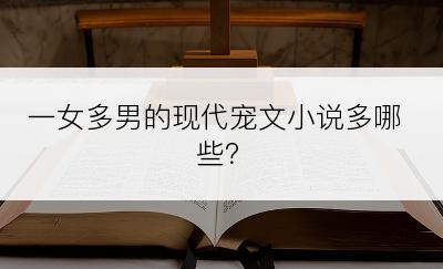 一女多男的现代宠文小说多哪些？