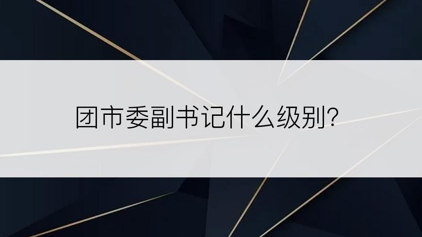 团市委副书记什么级别？