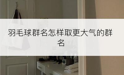 羽毛球群名怎样取更大气的群名