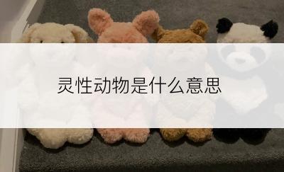 灵性动物是什么意思