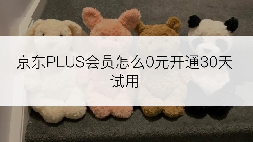 京东PLUS会员怎么0元开通30天试用