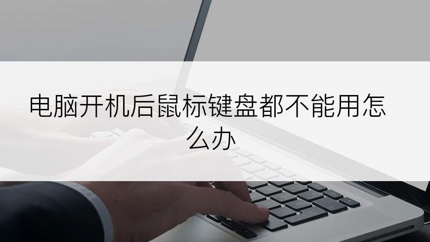 电脑开机后鼠标键盘都不能用怎么办