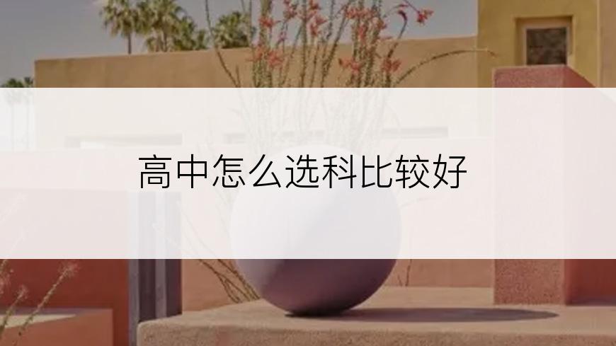 高中怎么选科比较好