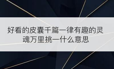好看的皮囊千篇一律有趣的灵魂万里挑一什么意思
