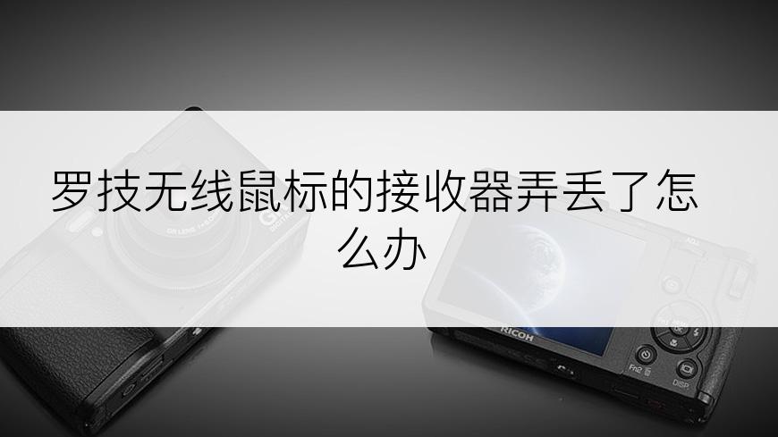 罗技无线鼠标的接收器弄丢了怎么办