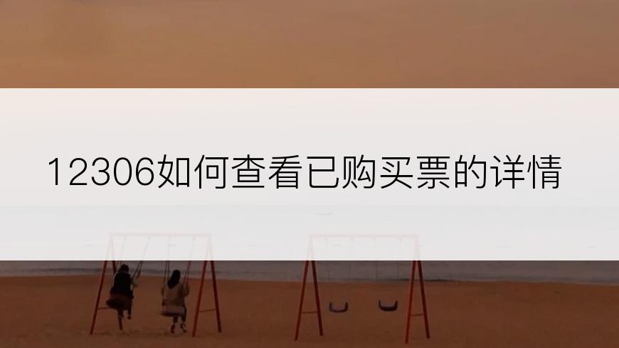 12306如何查看已购买票的详情