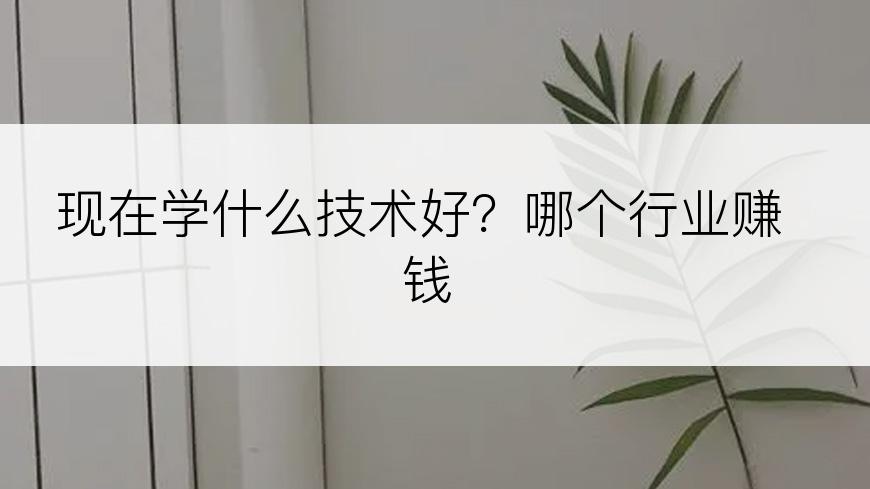现在学什么技术好？哪个行业赚钱