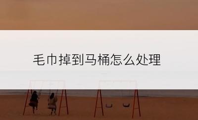 毛巾掉到马桶怎么处理
