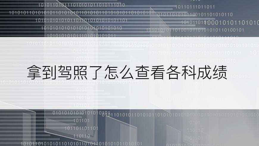 拿到驾照了怎么查看各科成绩