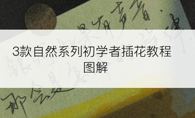 3款自然系列初学者插花教程图解