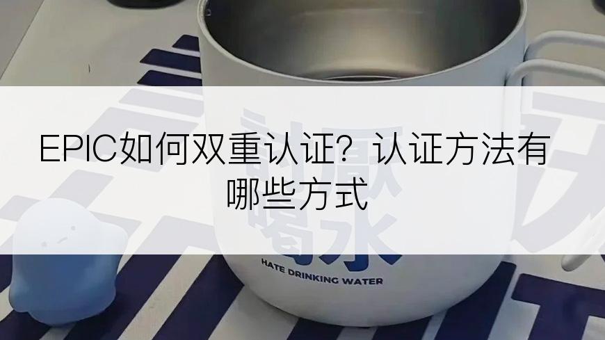EPIC如何双重认证？认证方法有哪些方式