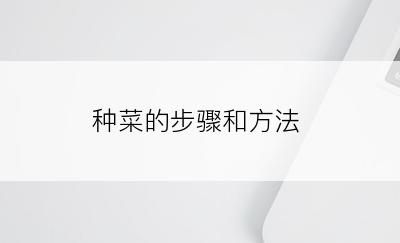 种菜的步骤和方法
