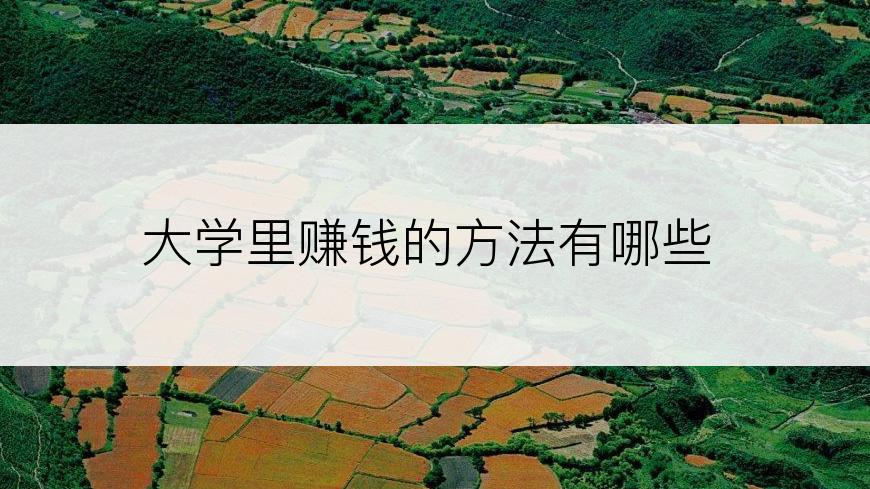 大学里赚钱的方法有哪些