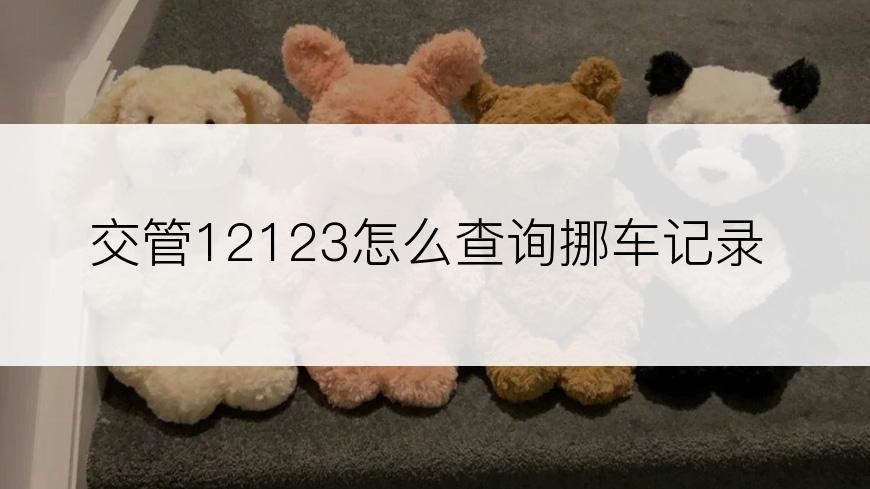 交管12123怎么查询挪车记录
