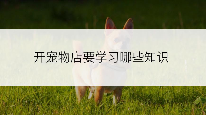 开宠物店要学习哪些知识