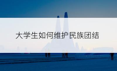 大学生如何维护民族团结