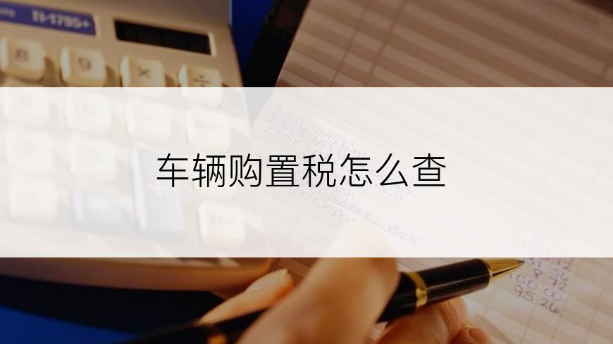 车辆购置税怎么查