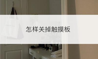 怎样关掉触摸板